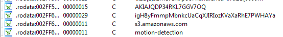 IDA Pro screenshot showing AWS-related strings
